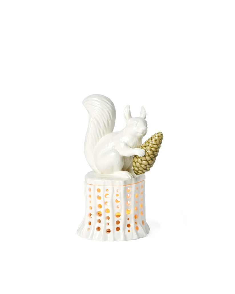 Winter stories íkorni