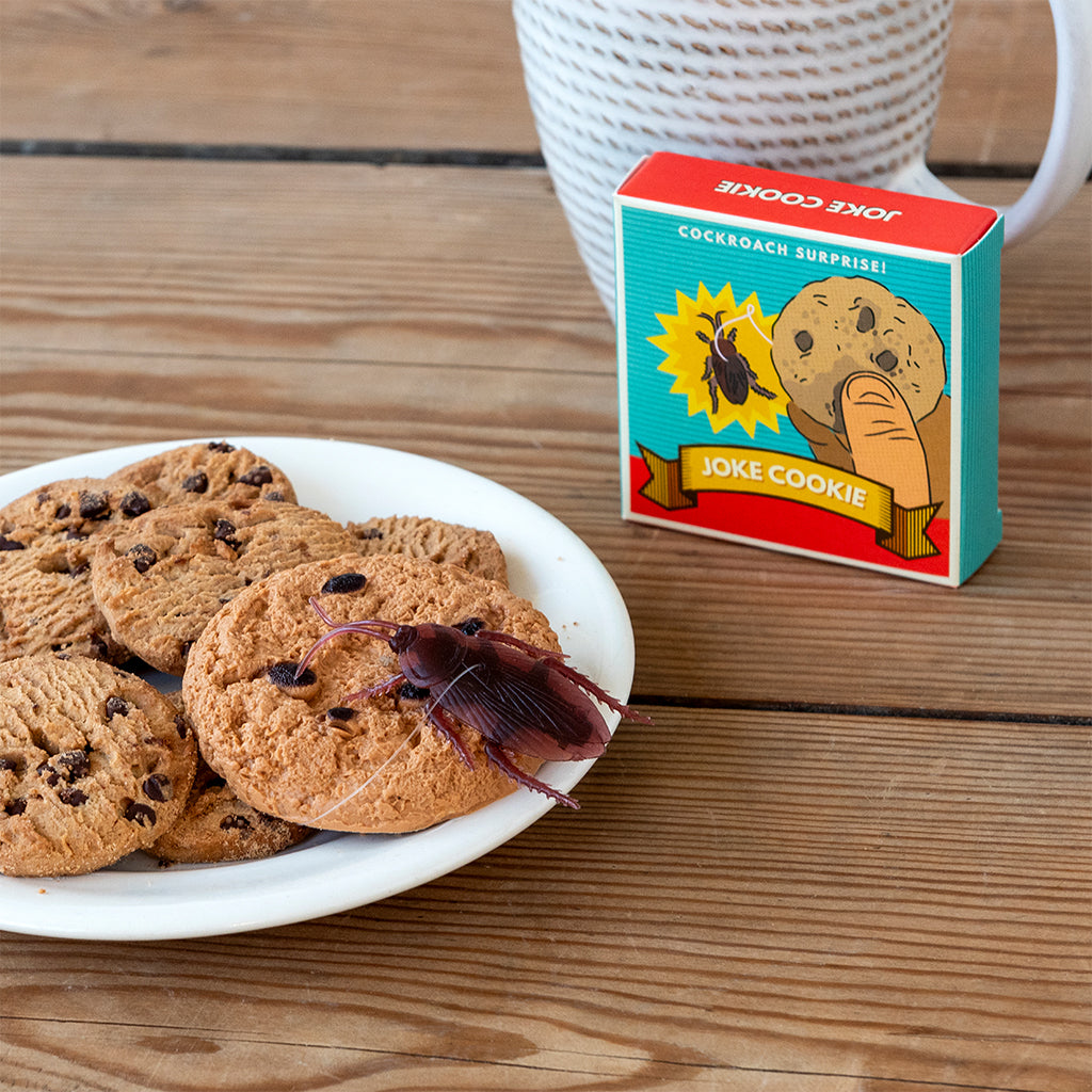 Hrekkjudót kaka með pöddu