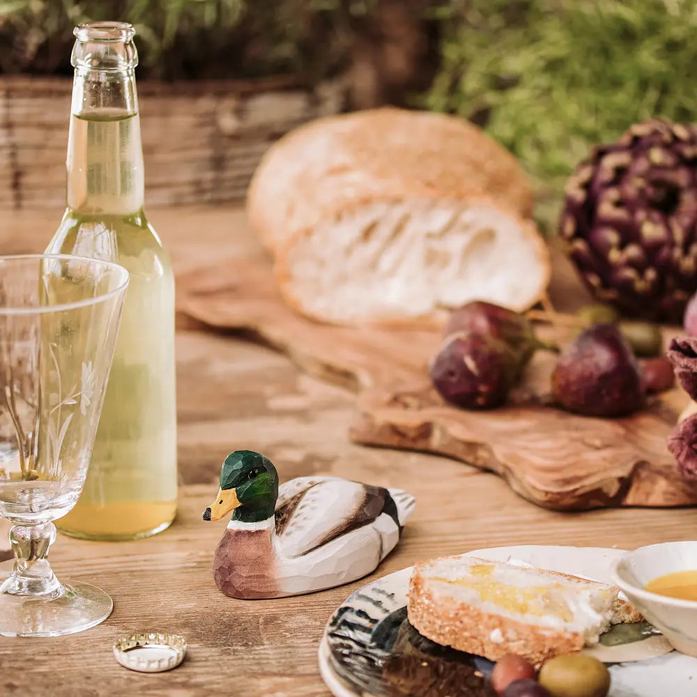 Upptakari - Stokkönd