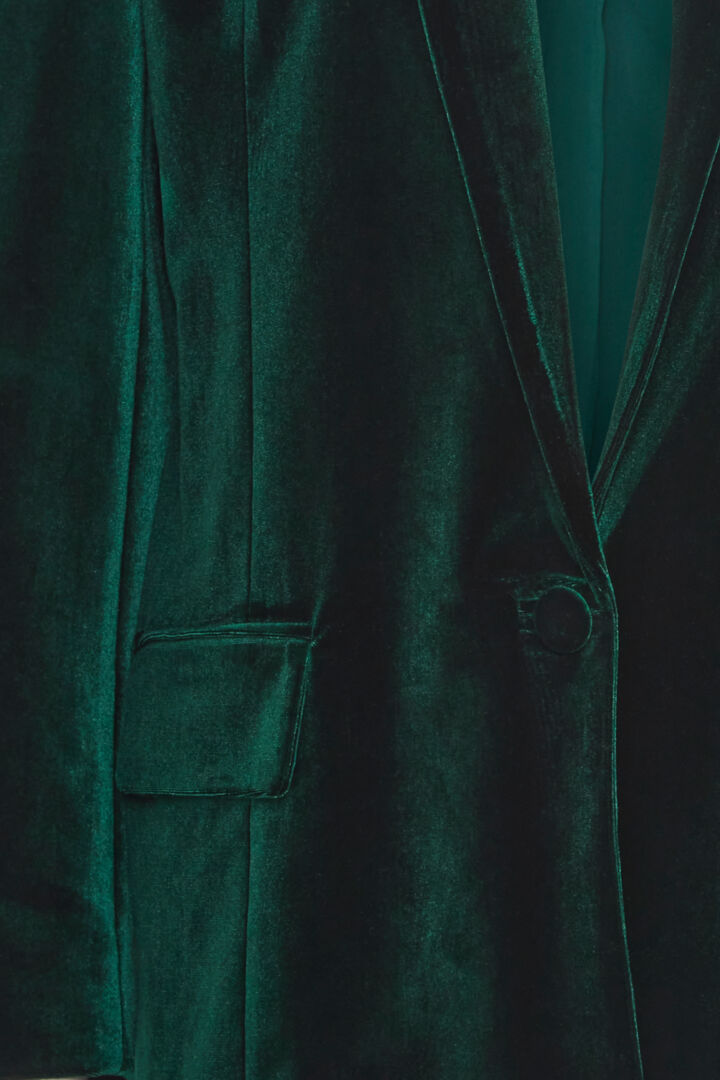 Donna velvet blazer grænn - Fransa