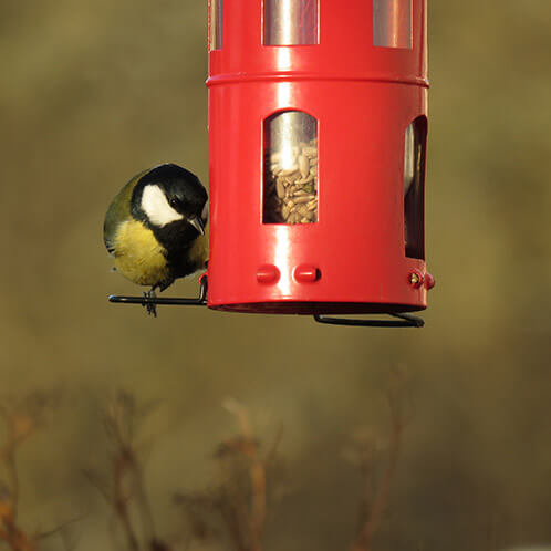 Combi feeder rauður