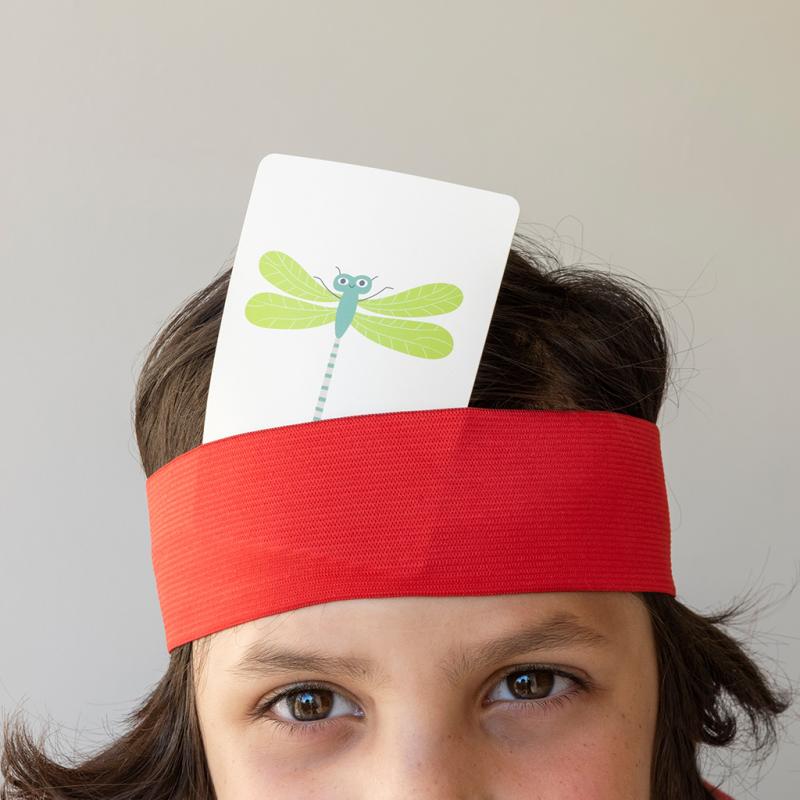 Hvað er ég ? - Spil