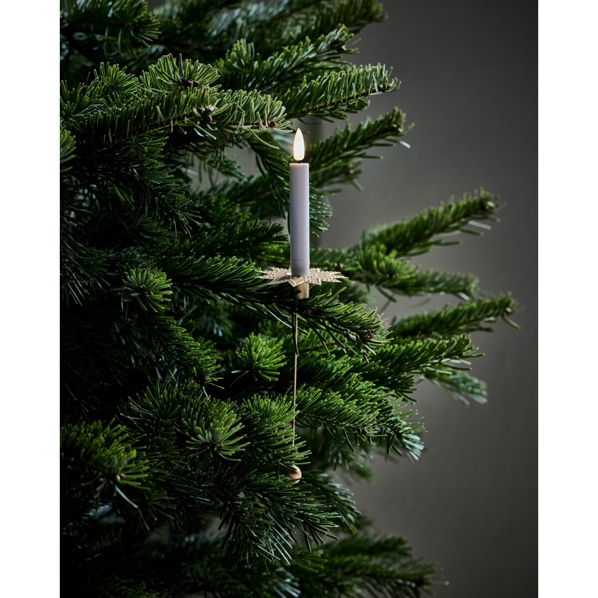 LED mjó kerti m/ fjárstýringu, 10sk