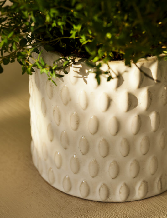 Blewbury bobble blómapottur 11cm - Garden Trading