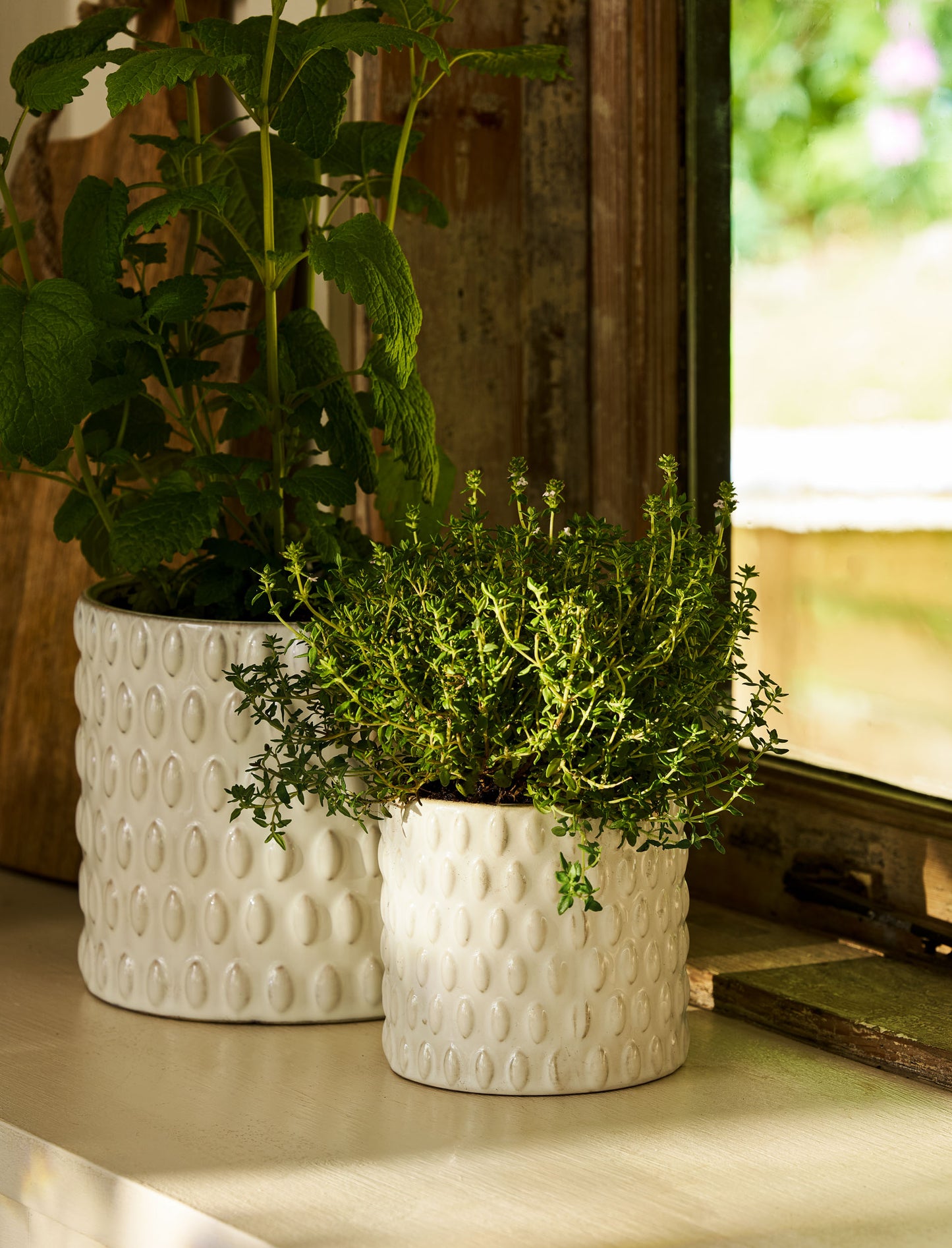 Blewbury bobble blómapottur 11cm - Garden Trading