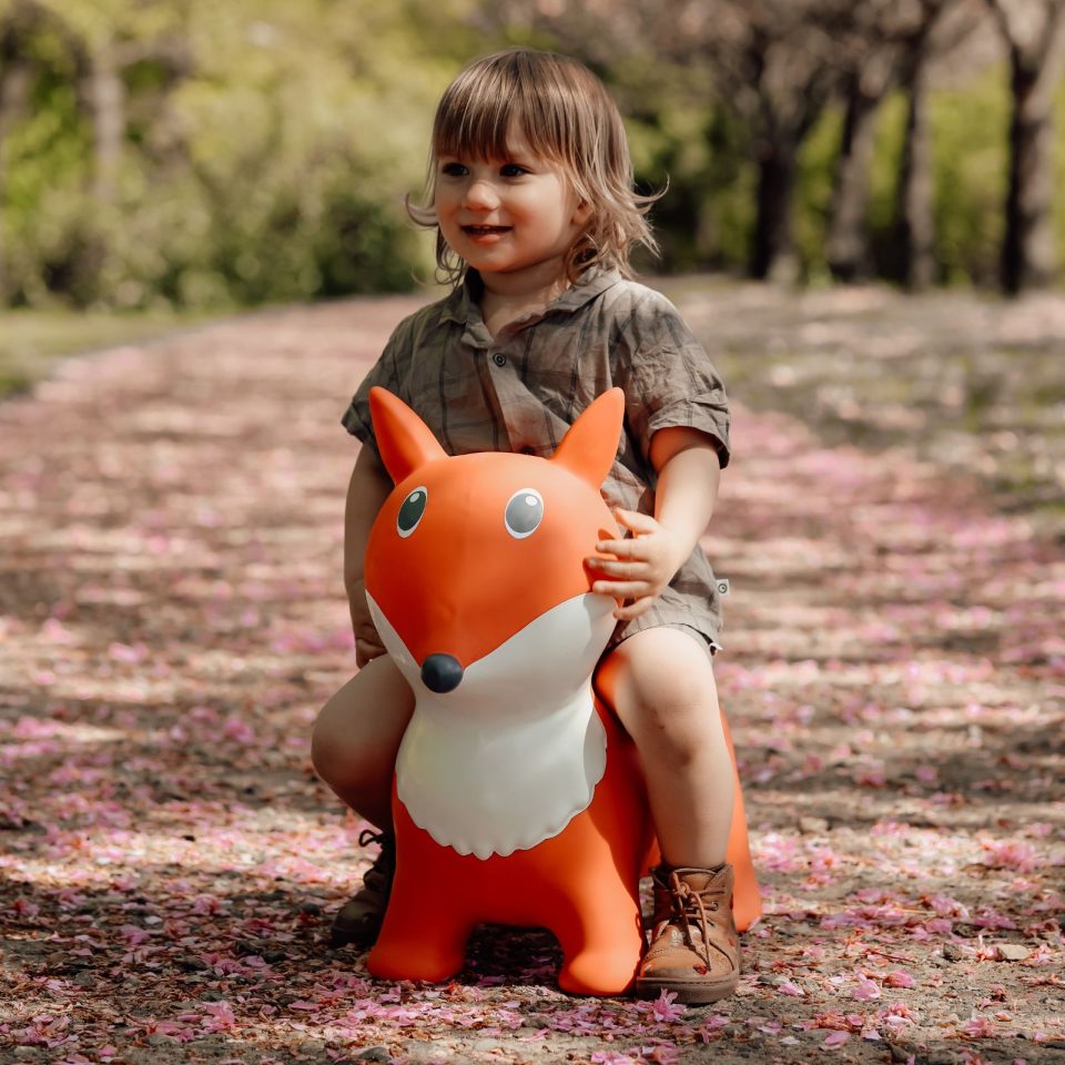 Jumping animal Fox - Find that Hippo