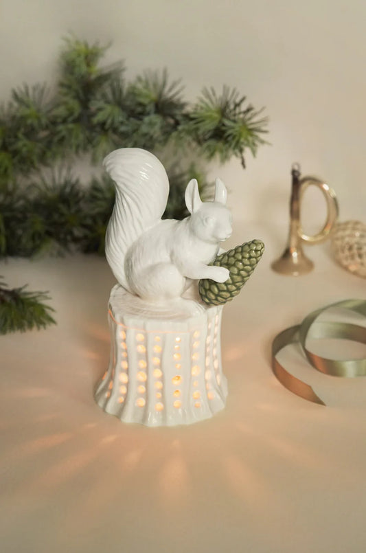 Winter stories íkorni