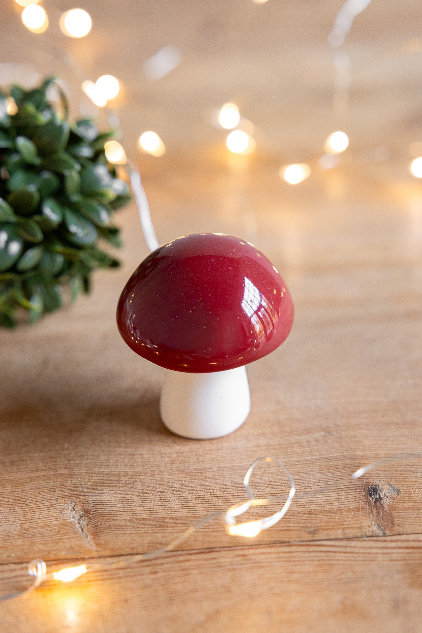 Sveppur BOVIK - Storefactory