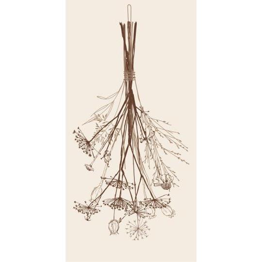 Servéttur þurkaður vöndur