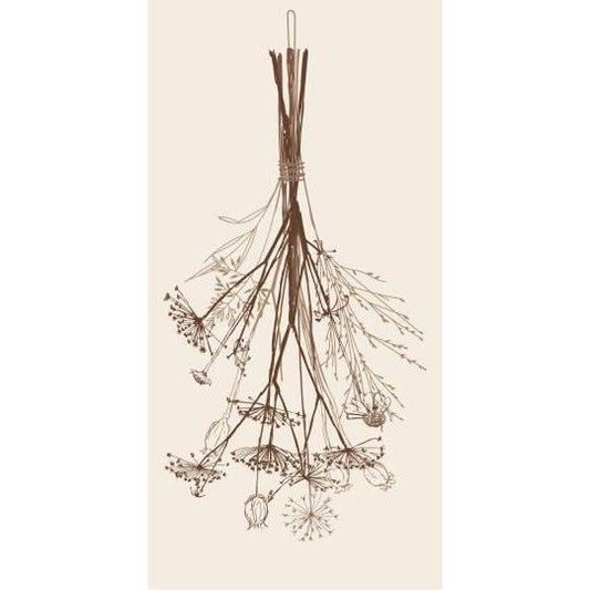 Servéttur þurkaður vöndur