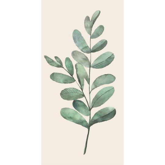 Servéttur olive branch