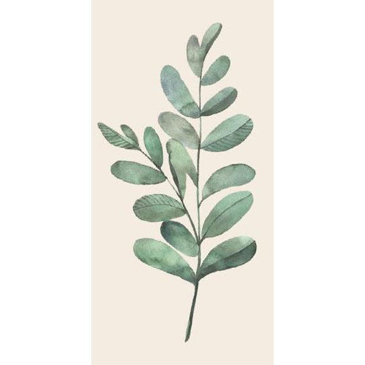 Servéttur olive branch