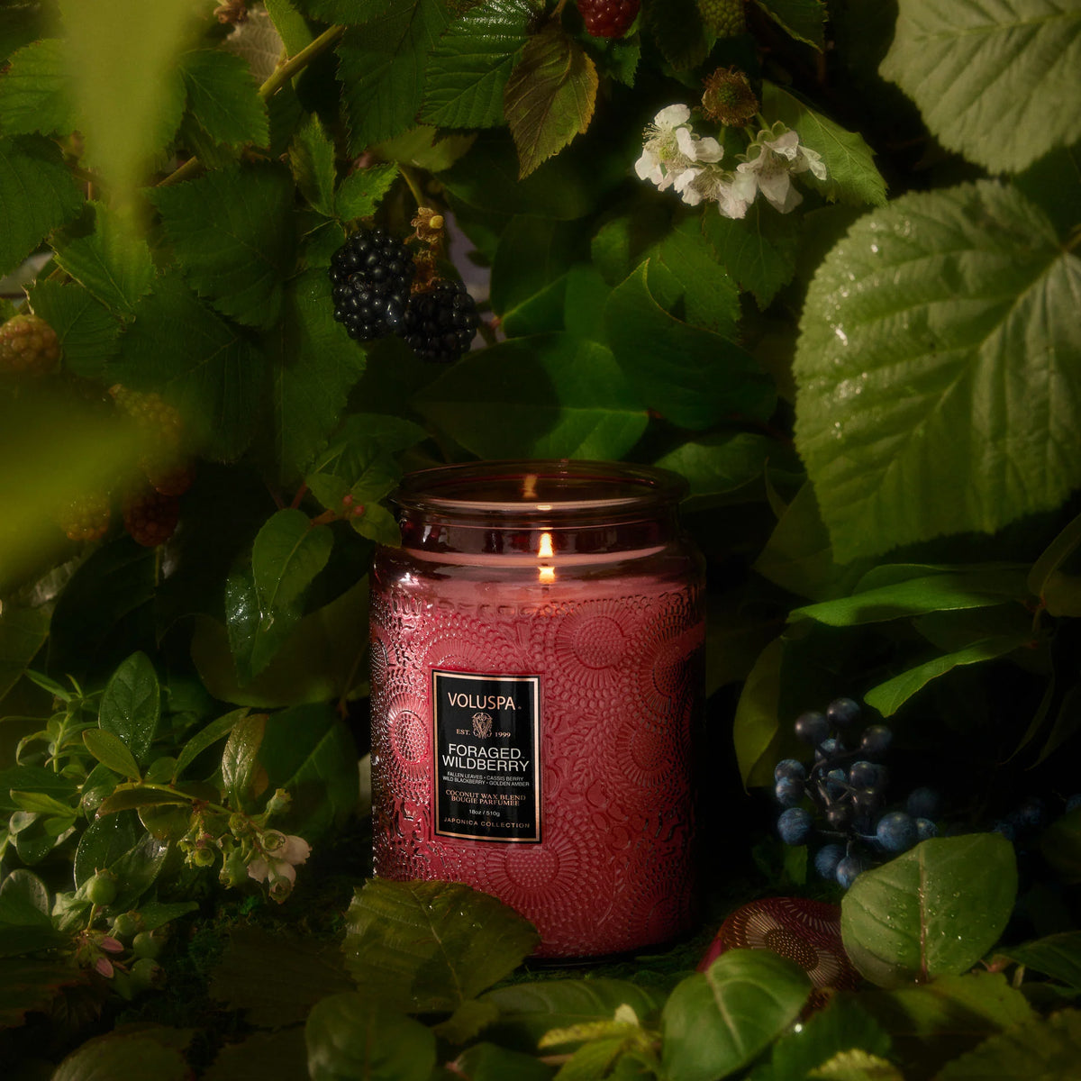 Foraged Wildberry large ilmkerti - Voluspa