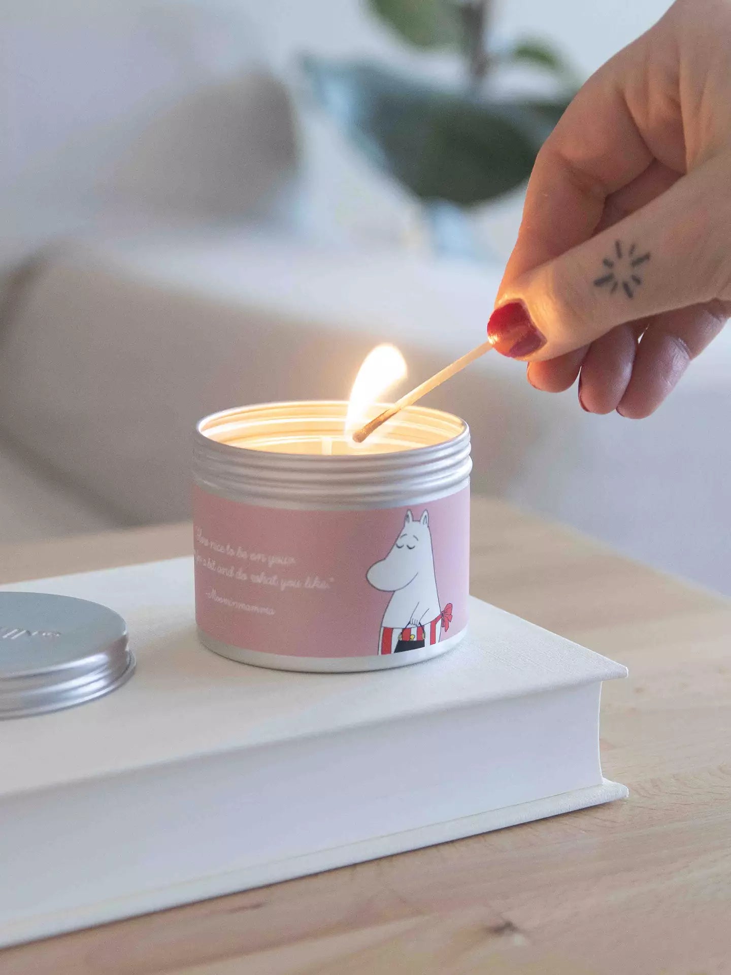 Ilmkerti moominmamma