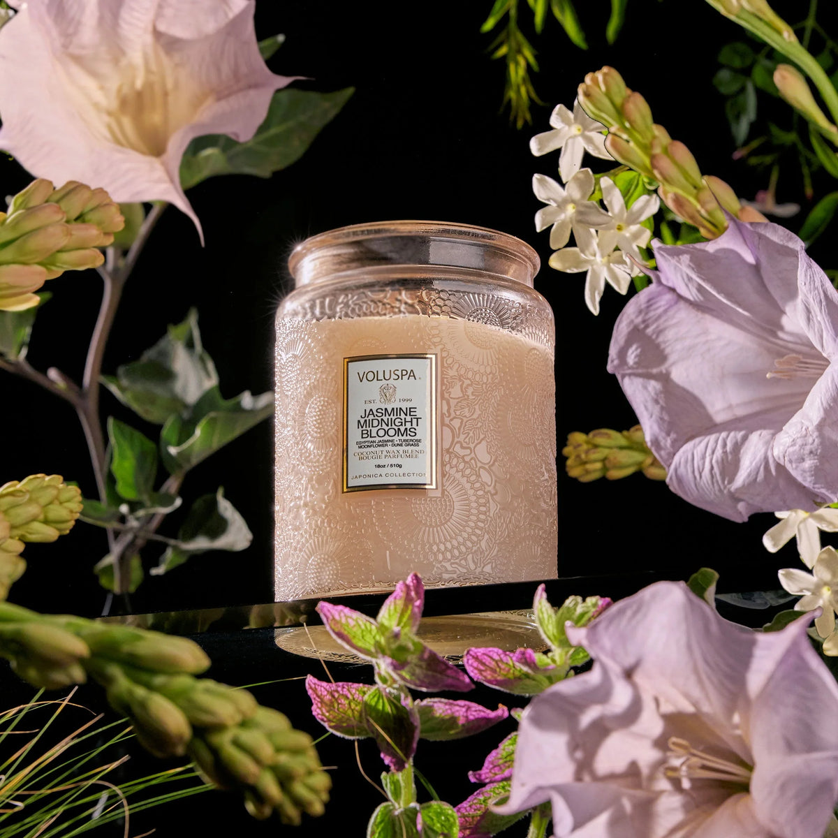 Jasmine midnight blooms large ilmkerti - Voluspa