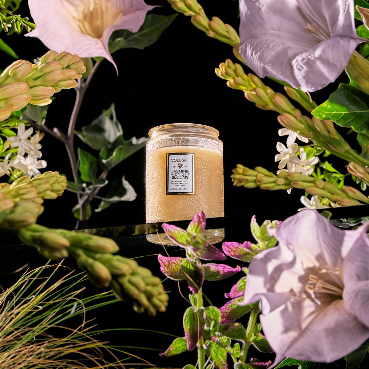 Jasmine MIdnight Blooms Small ilmkerti - Voluspa