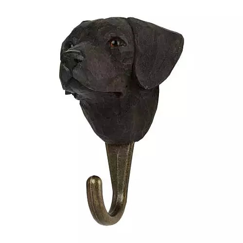 Snagi - Labrador Retriever
