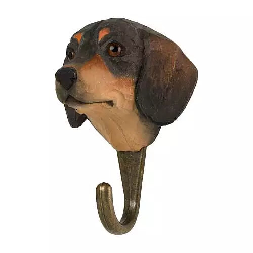 Snagi - Dachshund