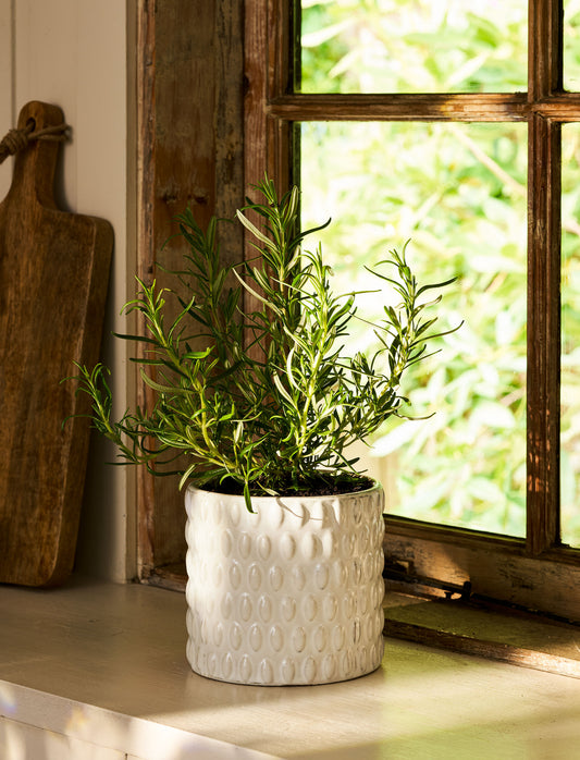 Blewbury bobble blómapottur 14,5cm - Garden Trading