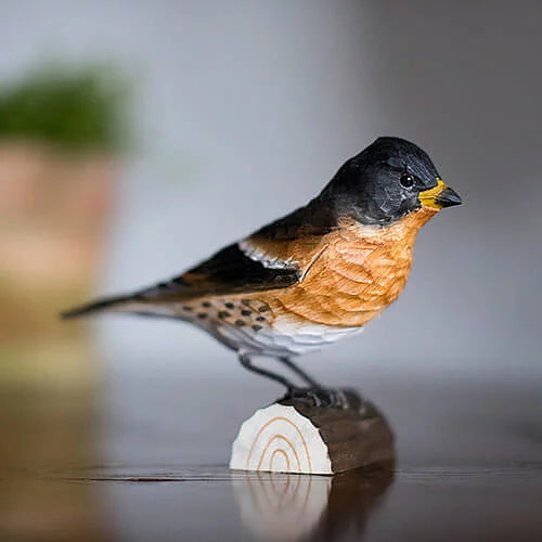 Útskorinn Fjallafinka