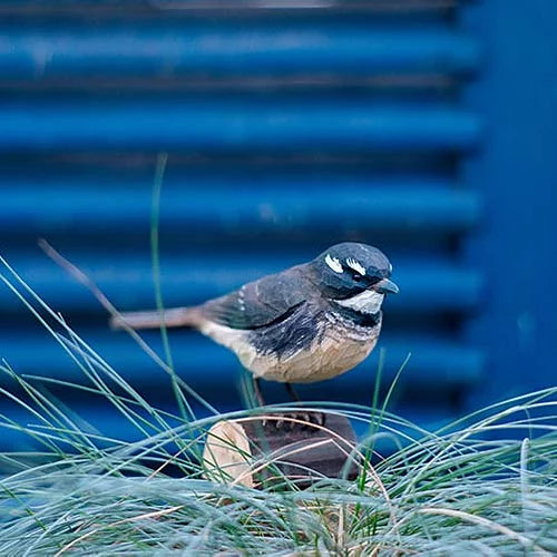Útskorinn Skottfinka
